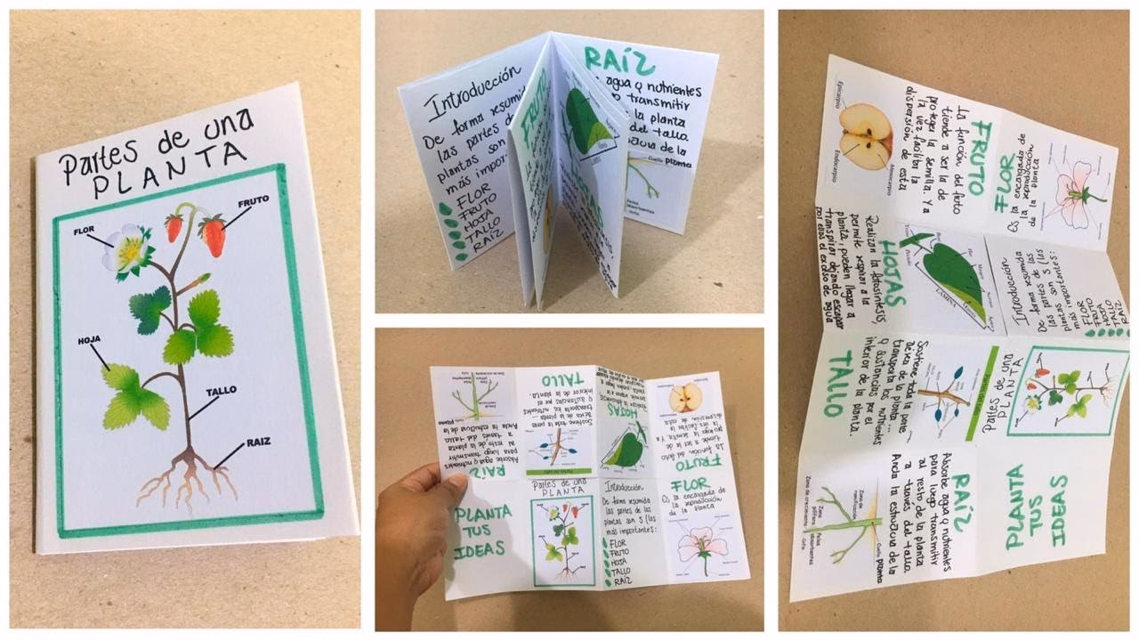 ¿Cómo rescatar a fanzine?