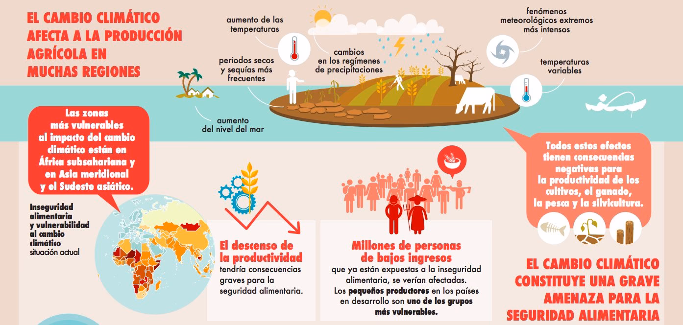 ¿Cuáles son los efectos del cambio climático en los sistemas agroalimentarios?