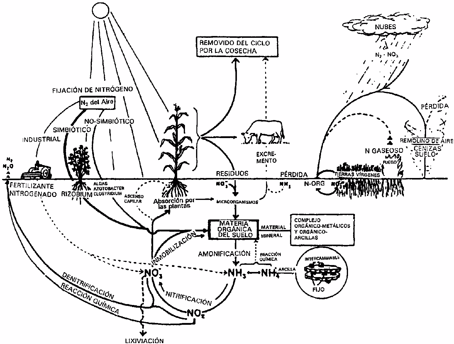 ¿Cuál es el uso agrícola de fertilizantes sintéticos?
