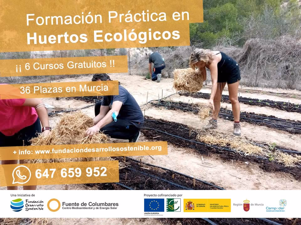 ¿Cuáles son los principales fines del desarrollo sustentable?