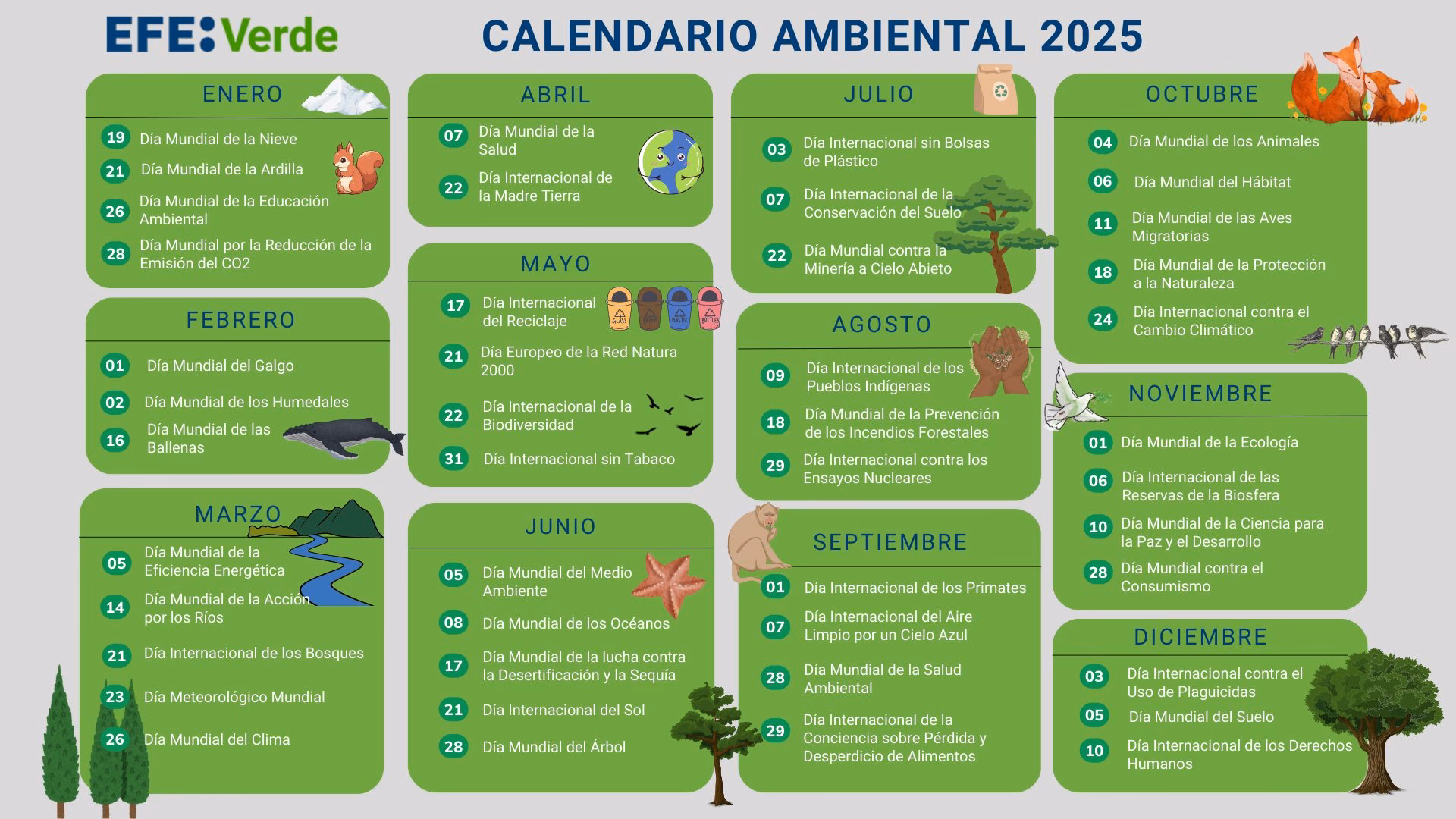 ¿Por qué se celebra el 5 de junio el Día Mundial del Medio Ambiente?