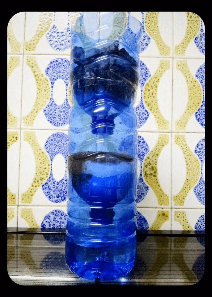 ¿Cómo contribuir al cuidado del Medio Ambiente?