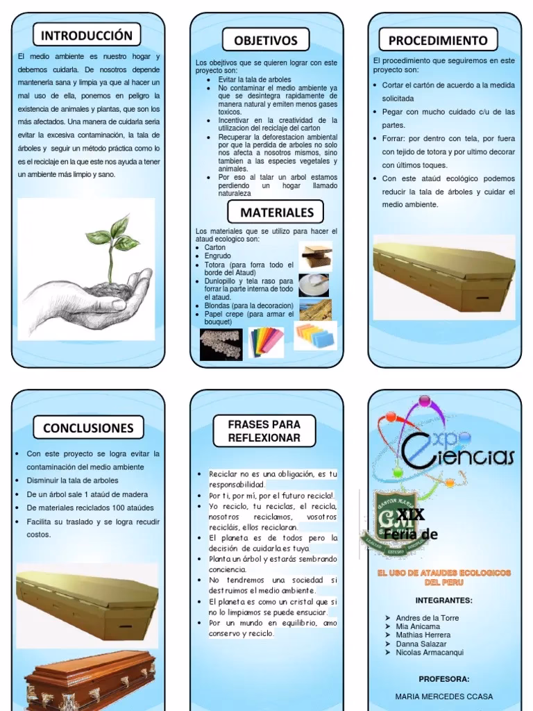 ¿Cómo está la deforestación en Brasil?