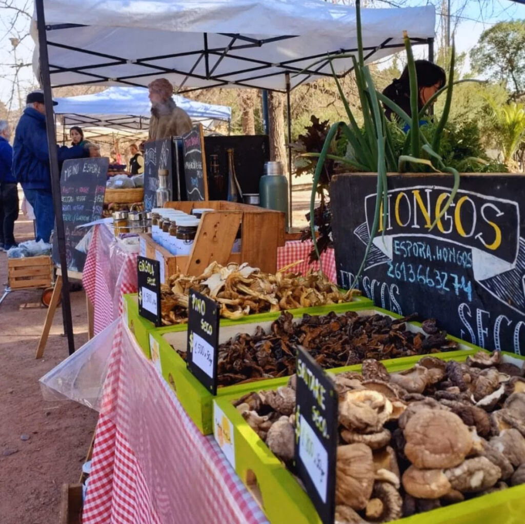 ¿Cuántos años tiene la Feria de alimentos y bebidas saludables en Mendoza?