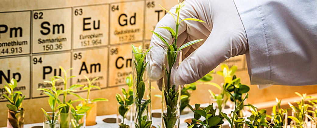 ¿Qué problema ambiental puede causar el uso excesivo de fertilizantes?