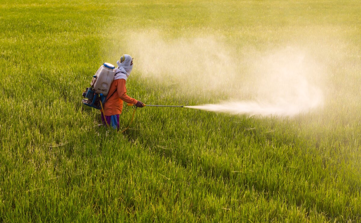 ¿Cómo evitar la contaminación por fertilizantes?