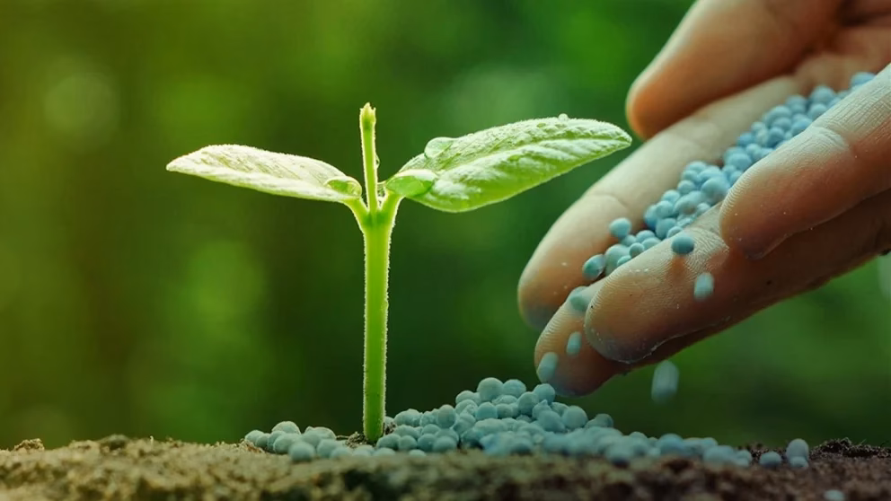 ¿Cómo evitar la contaminación por fertilizantes?