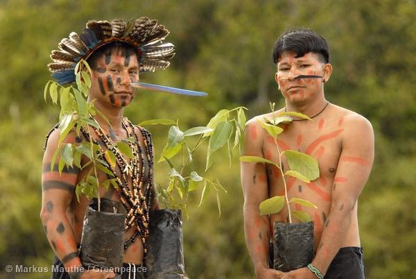 How can technology help fight deforestation?