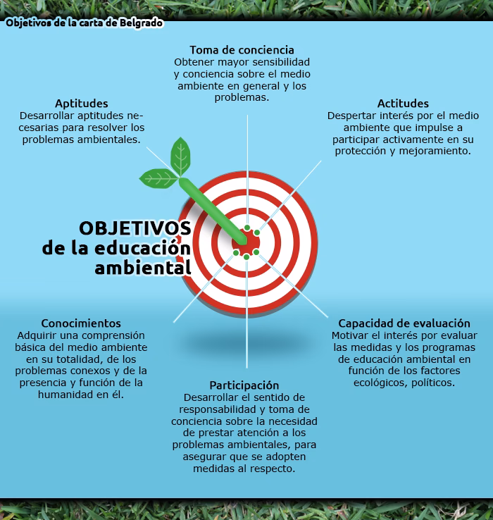 ¿Cómo se aplica la educación ambiental?