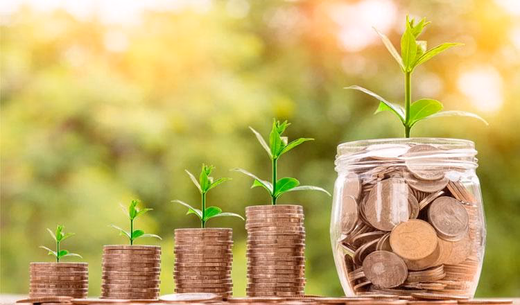 ¿Quién financia el proyecto de medio ambiente?