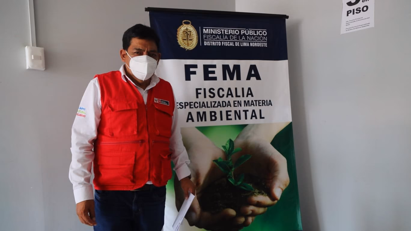 ¿Qué es un modelo fiscal ambiental?