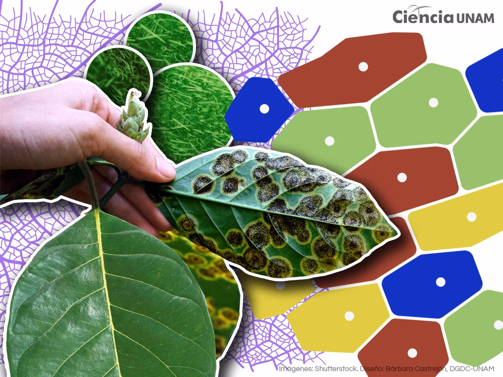 ¿Cómo influye el medio ambiente en la fisiología humana?
