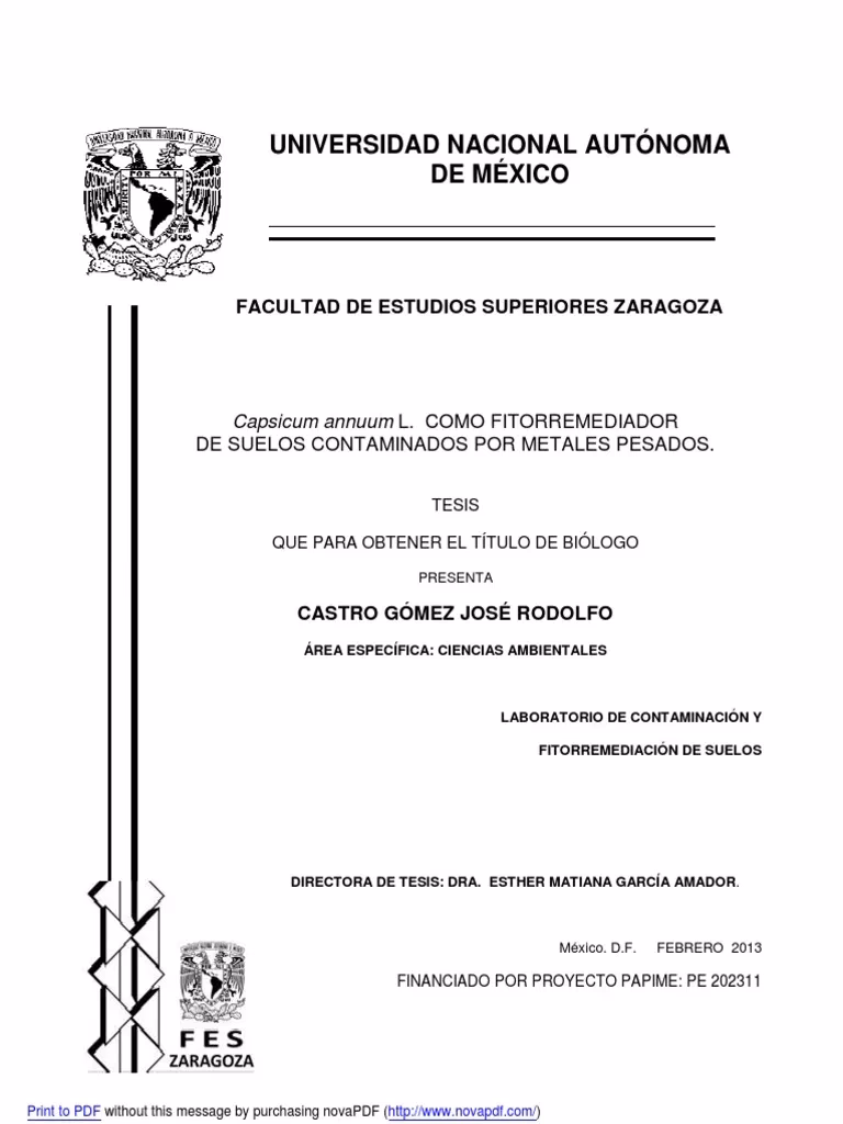 ¿Cuál es el objetivo de la remediación de suelos contaminados por metales pesados?