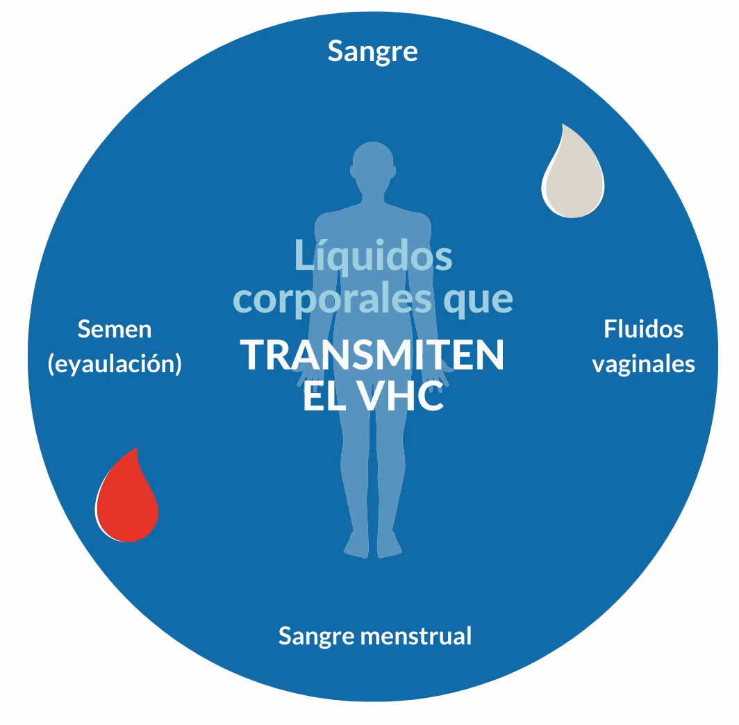 ¿Qué es el fluido orgánico?