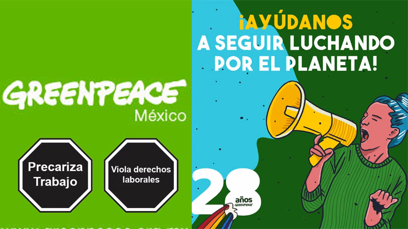 ¿Cómo ayuda Greenpeace a defender el medio ambiente?