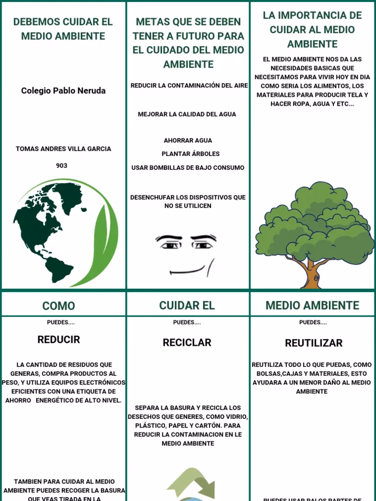 ¿Cómo cuidar el medio ambiente?