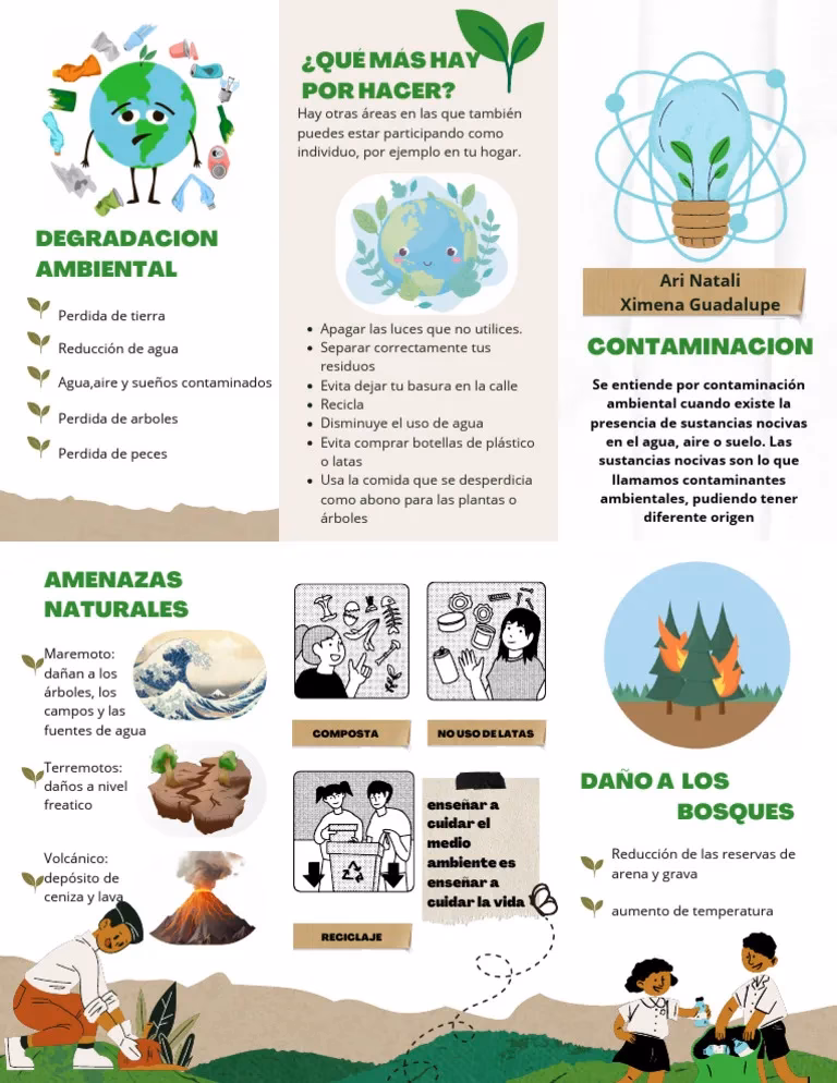 ¿Cuáles son los nuevos contenidos de la educación ambiental?
