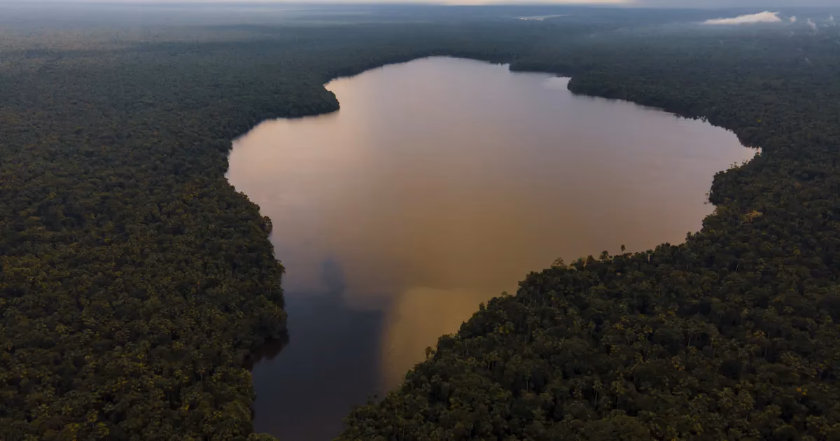 ¿Cuál es la misión del Fondo para el Medio Ambiente Mundial?