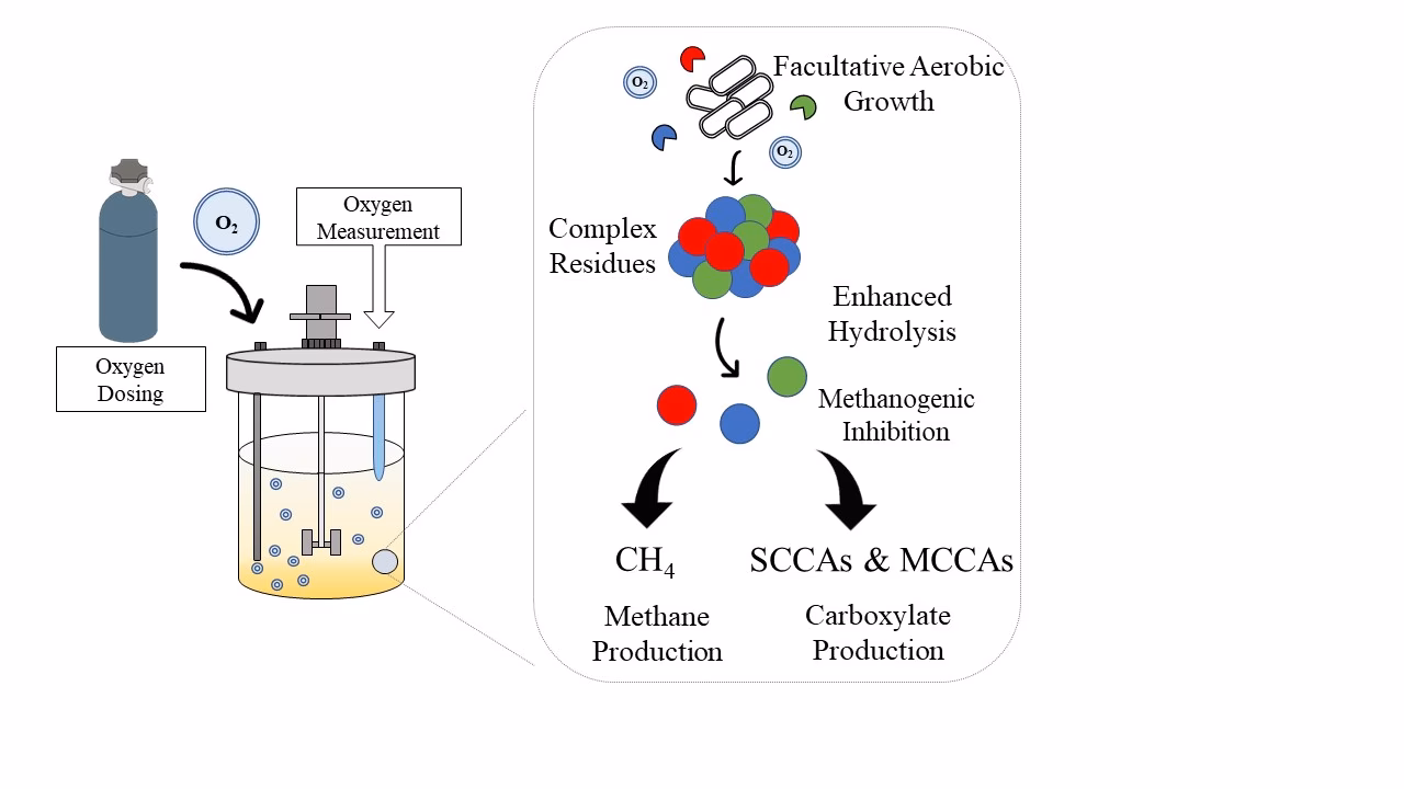 ¿Cómo se aproximan los valores carbonosos de la demanda bioquímica de oxígeno?
