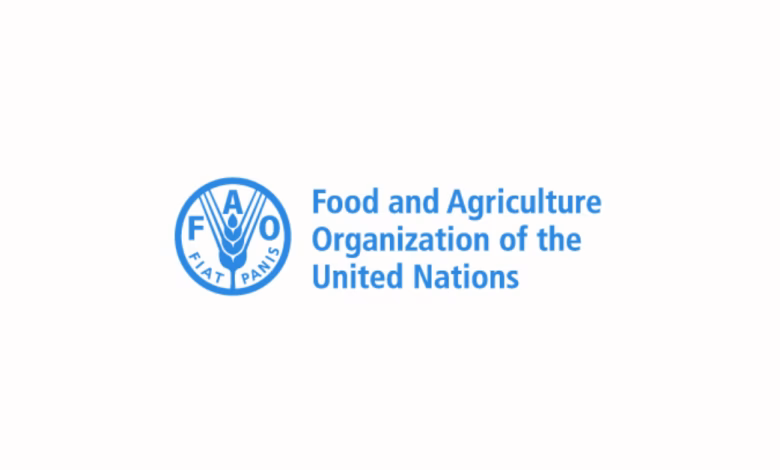 Why is FAO important?