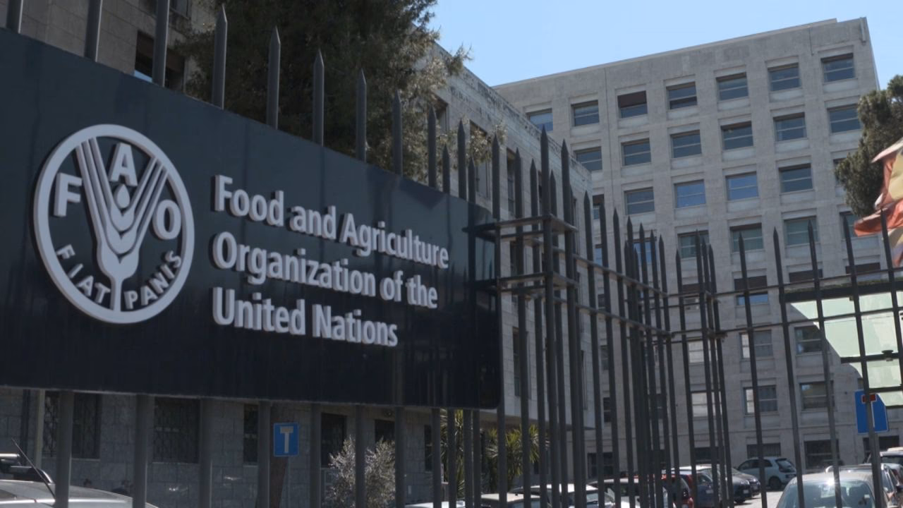 Why is the United States important to the FAO?