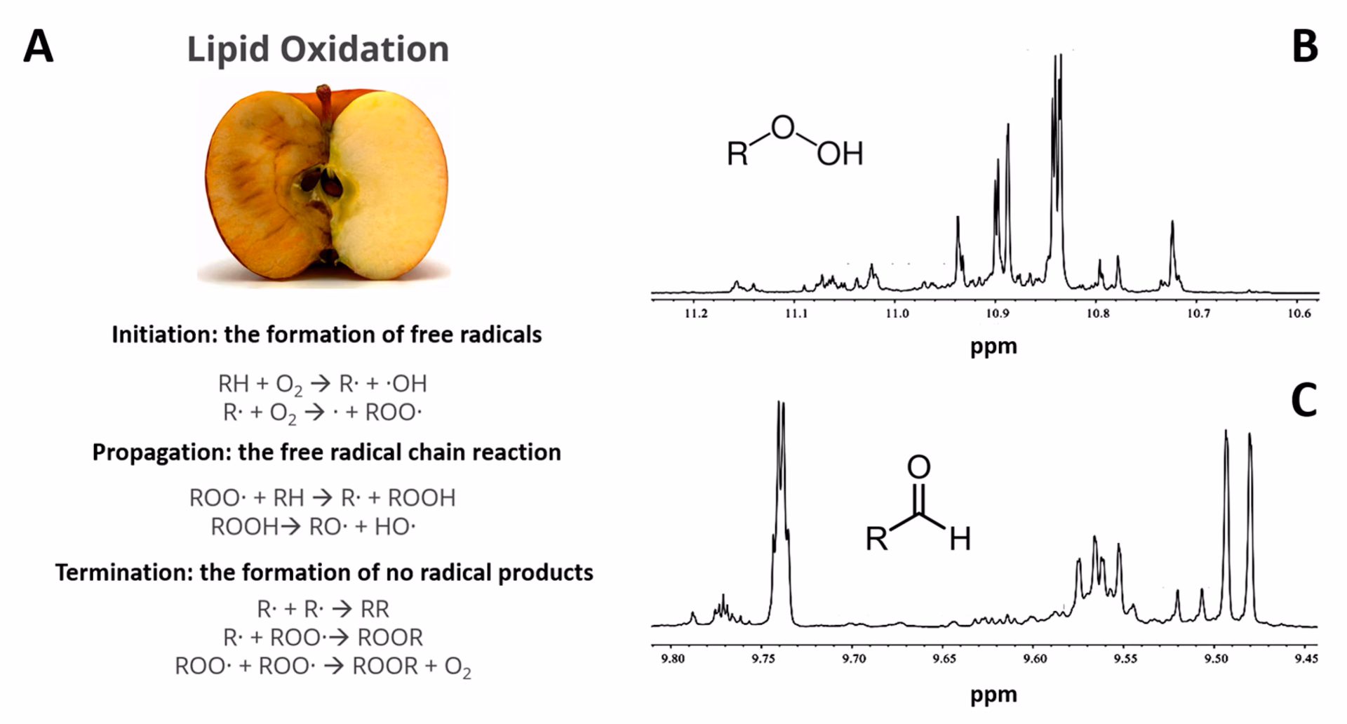 Can NMR be applied to food science?