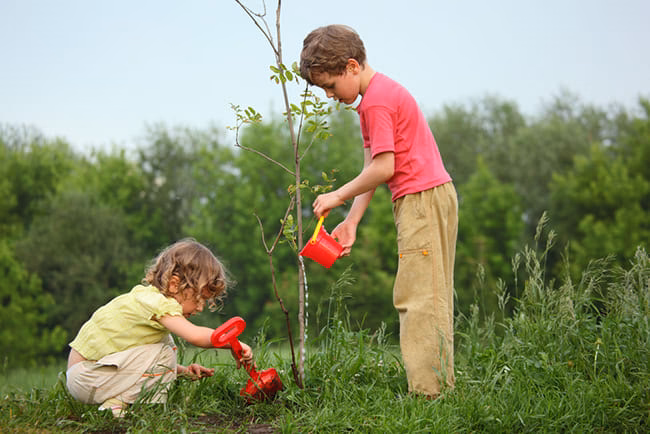 ¿Qué es la educación ambiental y sus características?