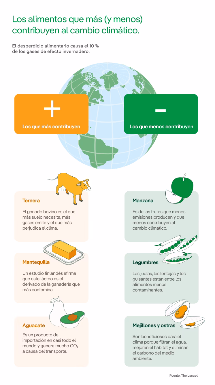 ¿Cómo reducir el cambio climático?