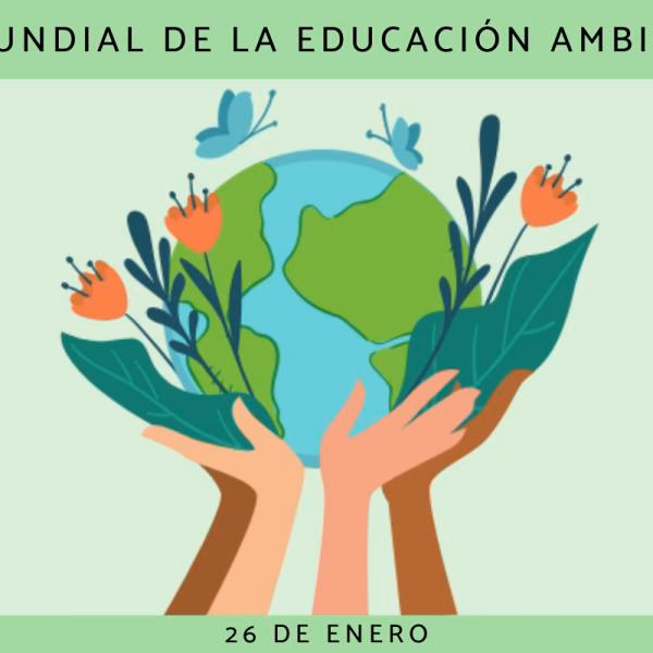 ¿Por qué se celebra el Día Mundial del Medio Ambiente?