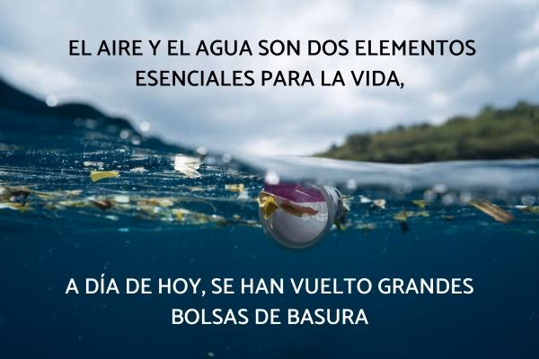 ¿Cuáles son las frases motivadoras para reciclar?