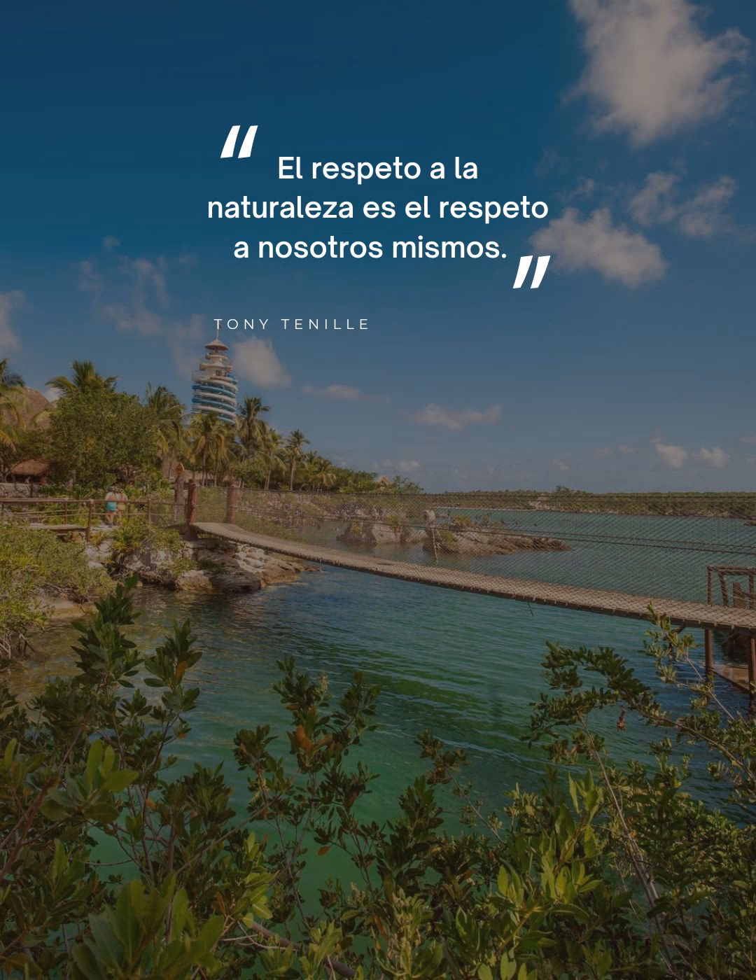 ¿Qué son las frases motivadoras para educadores?