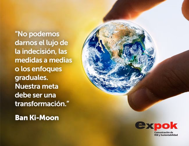 ¿Qué son las frases sobre la contaminación?