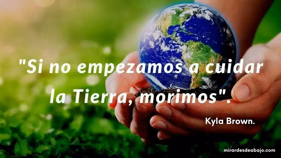 ¿Qué son las frases sobre la contaminación?