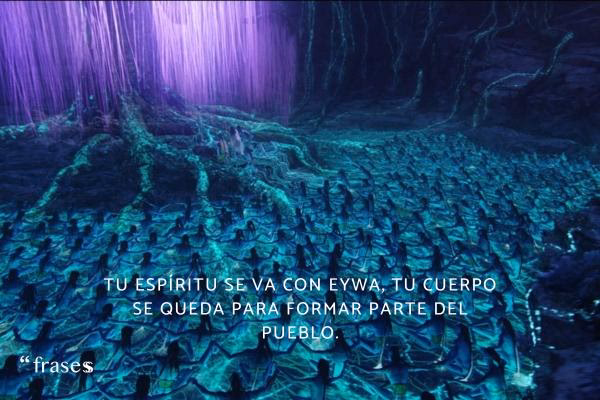 ¿Por qué las frases de Avatar conmovieron al mundo entero?