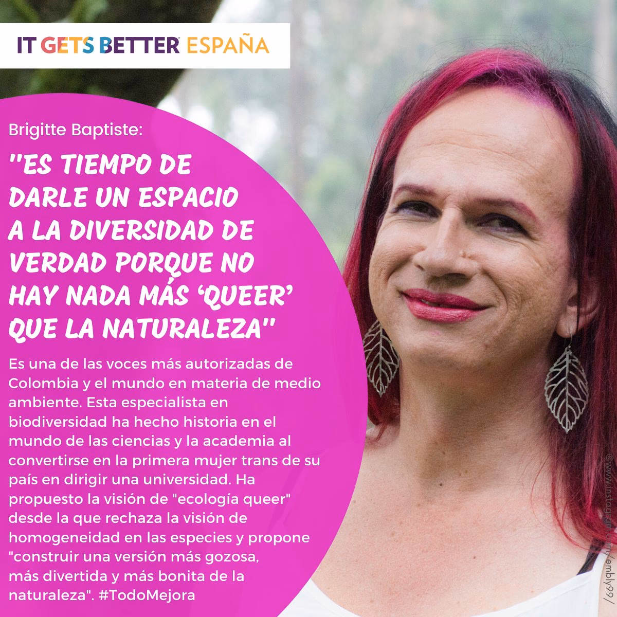 ¿Cuáles son los ejemplos más poderosos de Brigitte?