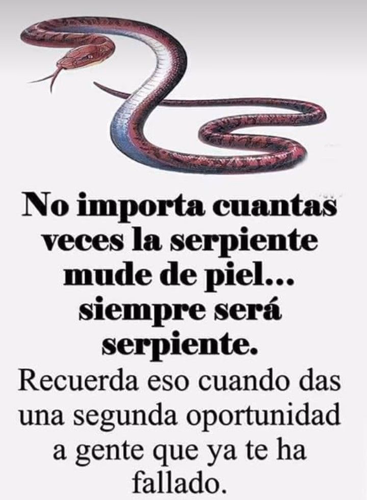 ¿Qué hace que una serpiente sea más consciente de su entorno?