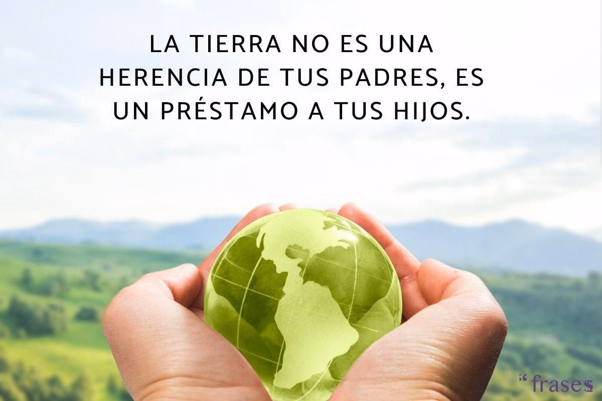 ¿Qué buscan las frases para no tirar basura y contaminar?