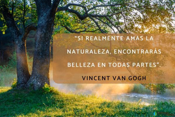 ¿Cuál es el futuro del Medio Ambiente?