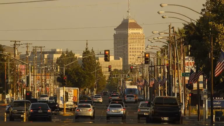 ¿Cuánto TIEMPO DURA la infestación de fresnos en Coyoacán?