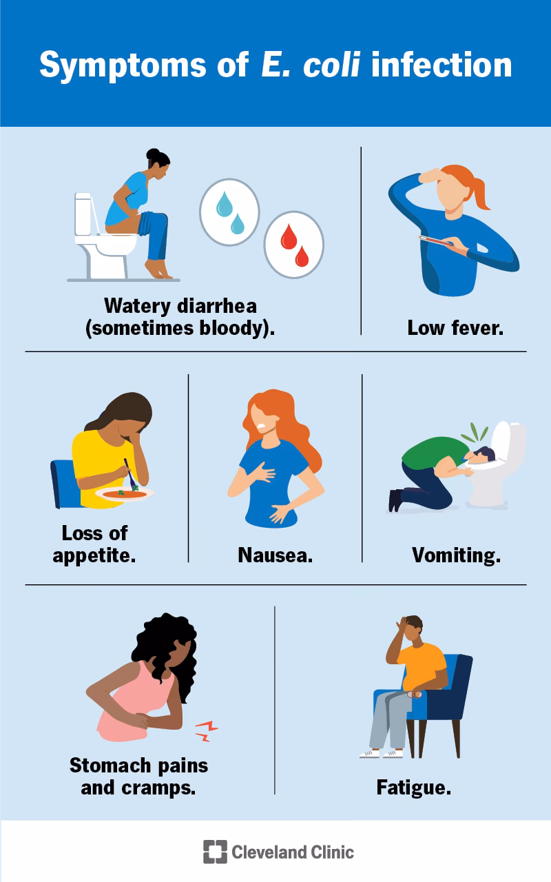 How to prevent E coli infection?