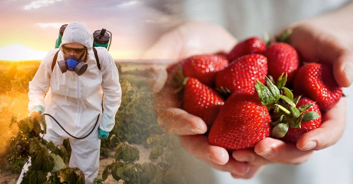 ¿Por qué no debemos ingerir pesticidas nocivos?