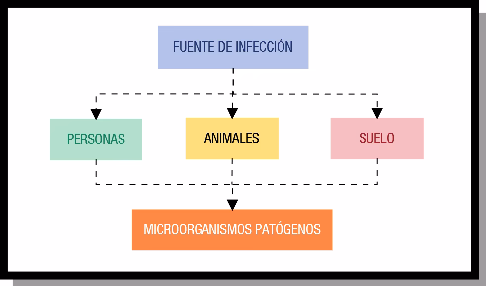¿Qué factores son relevantes para el desarrollo de la infección?