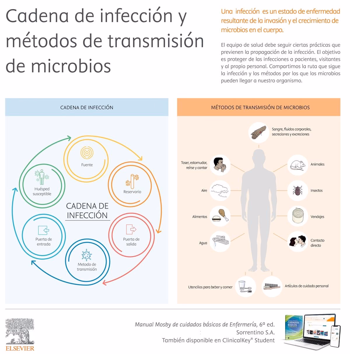 ¿Cómo se transmiten las infecciones?