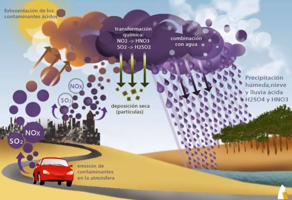 ¿Cuáles son los efectos de la deposición ácida?