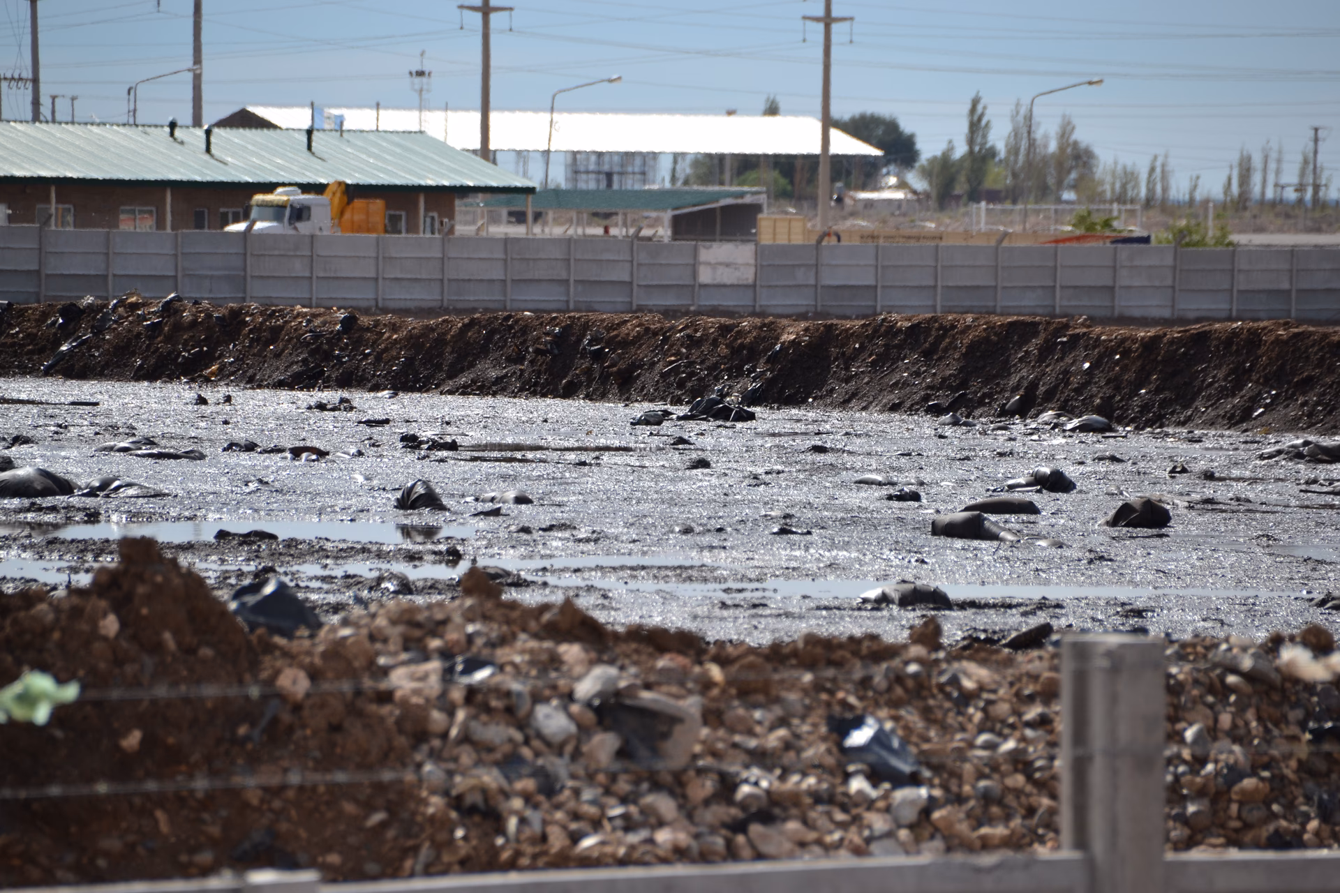 ¿Cuáles son las empresas potencialmente contaminantes?