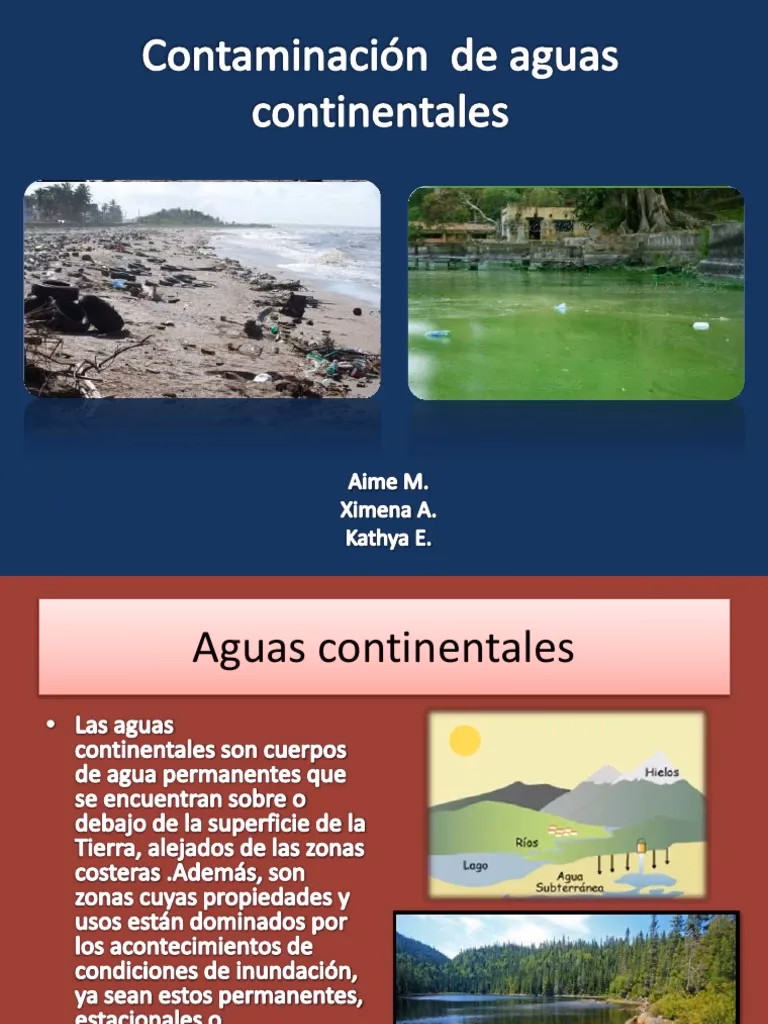 ¿Cuáles son los contaminantes del agua?
