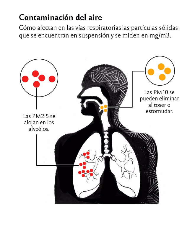 ¿Quién fue JTP de “modelos de dispersión y distribución de contaminantes”?