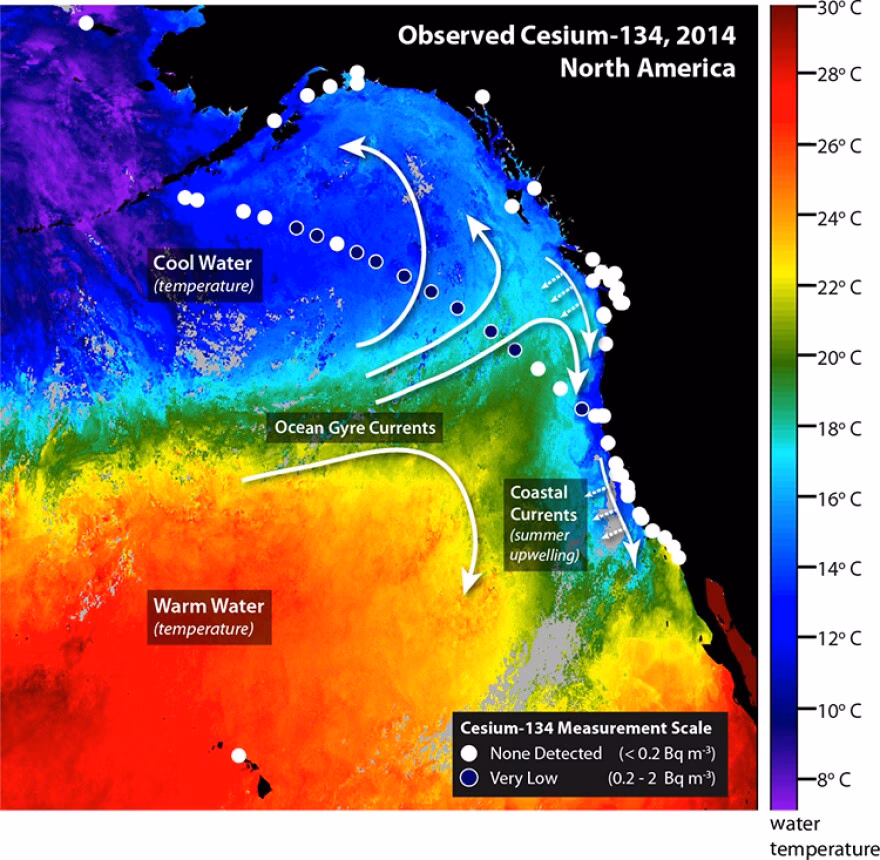What happens if Fukushima nuclear power plant releases radioactive water?
