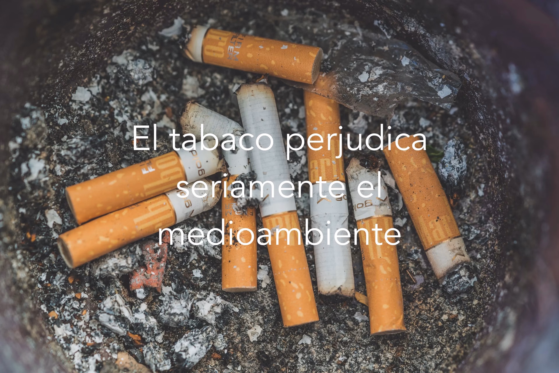 ¿Por qué es malo fumar?