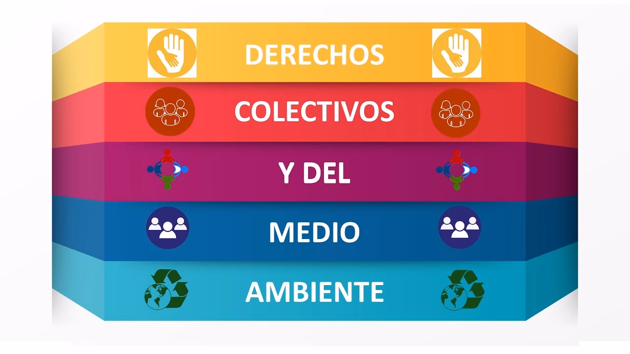 ¿Cuáles SON LOS DERECHOS COLECTIVOS Y del Medio Ambiente?